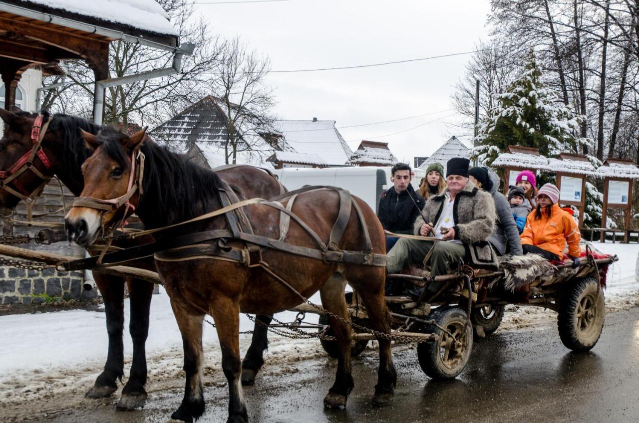 Soare-N Maramures Budeşti Exterior foto